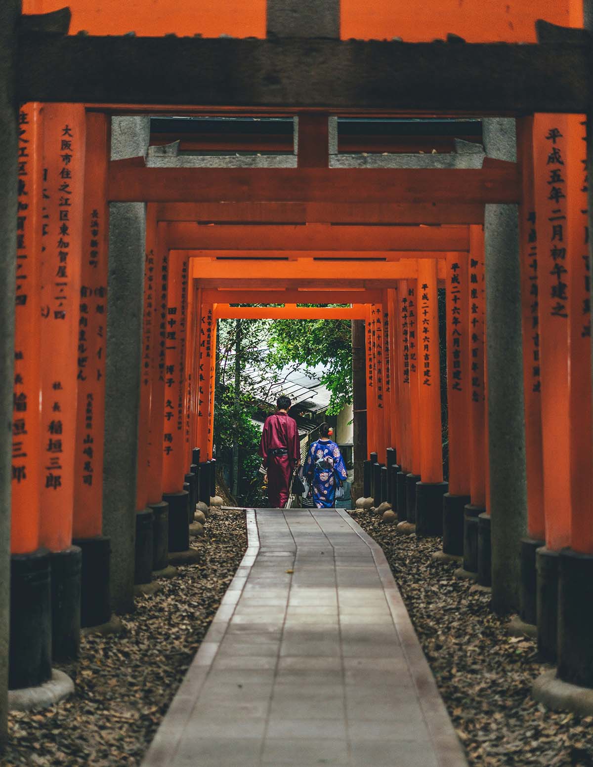 Red torii gates lining the forested trail at Fushimi Inari Taisha shrine in Kyoto, Japan